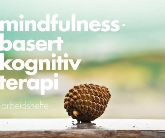 Mindfulnessbasert kognitiv terapi : arbeidshefte