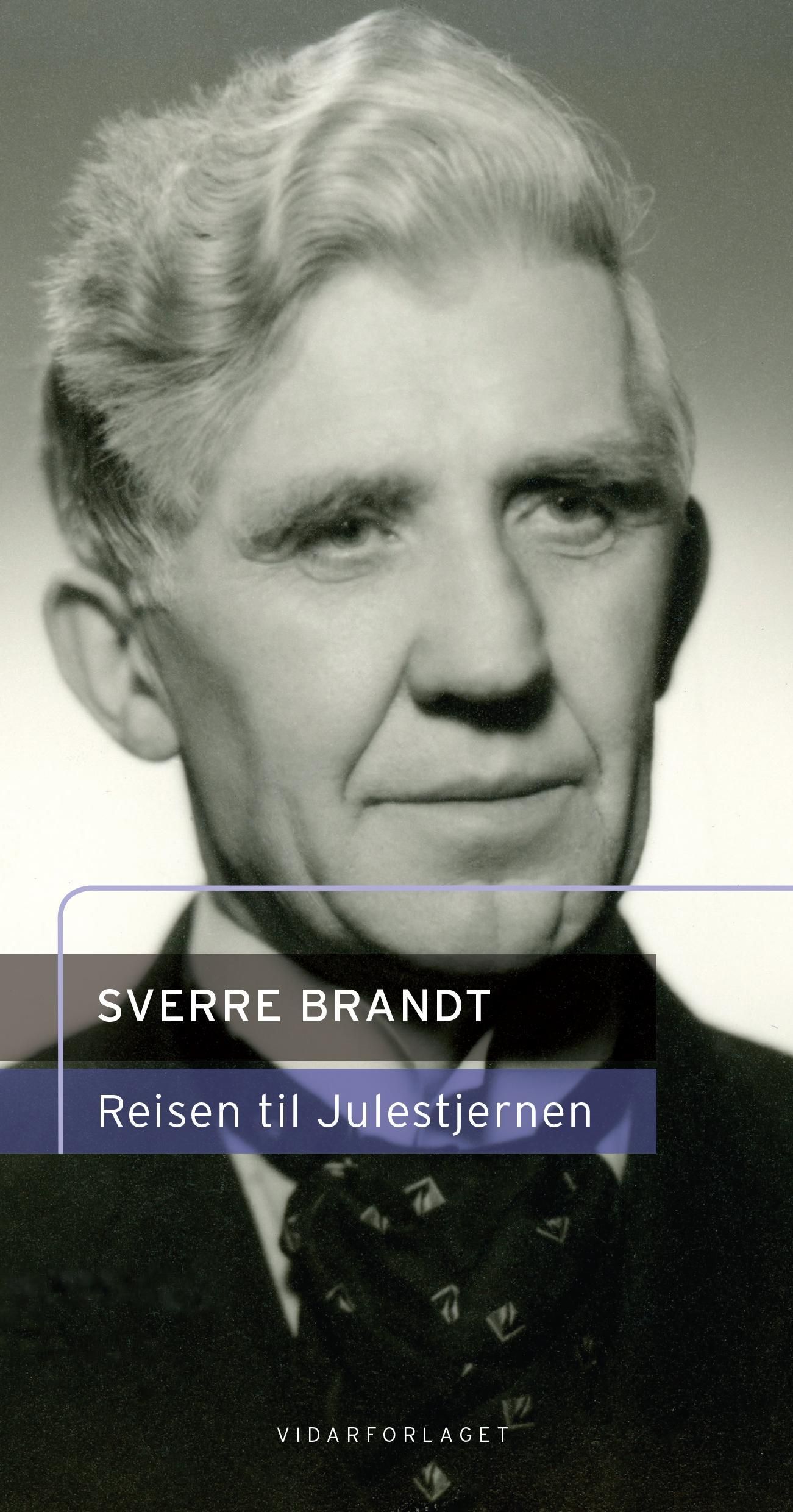 Reisen til julestjernen : et eventyr for barn i 5 bilder