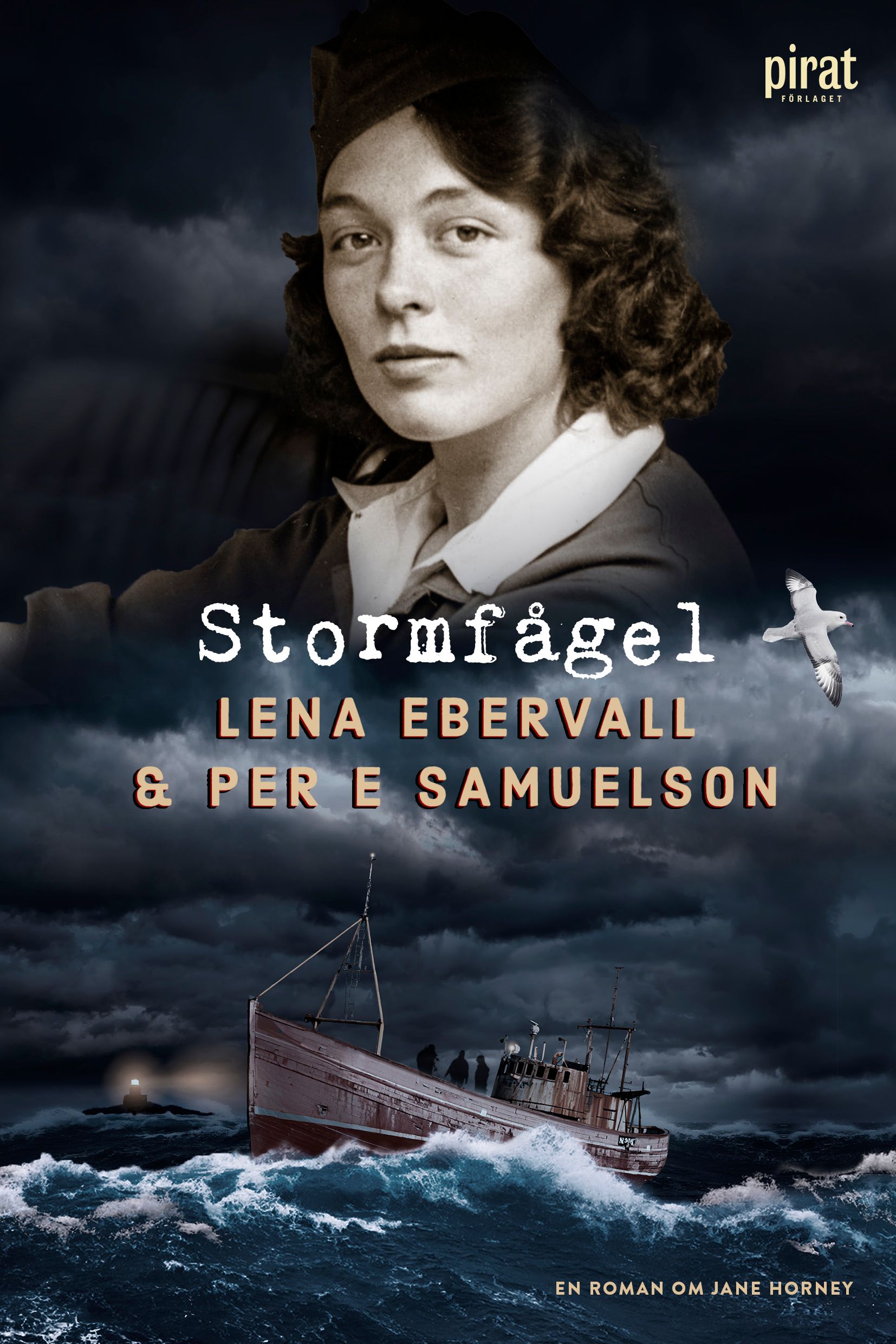 Stormfågel : en roman om Jane Horney