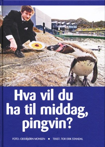 Hva vil du ha til middag, pingvin?