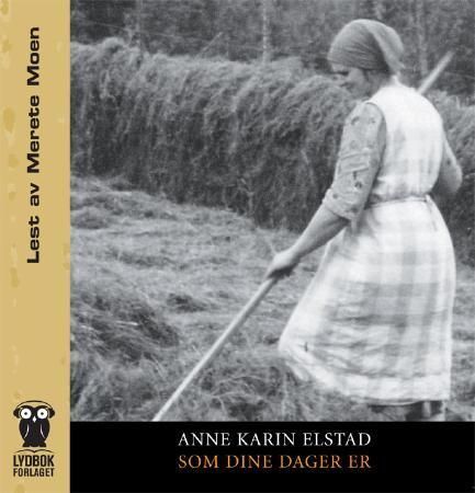 Forsidebilde av Som dine dager er