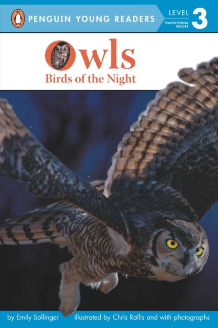 Owls : Birds of the Night
