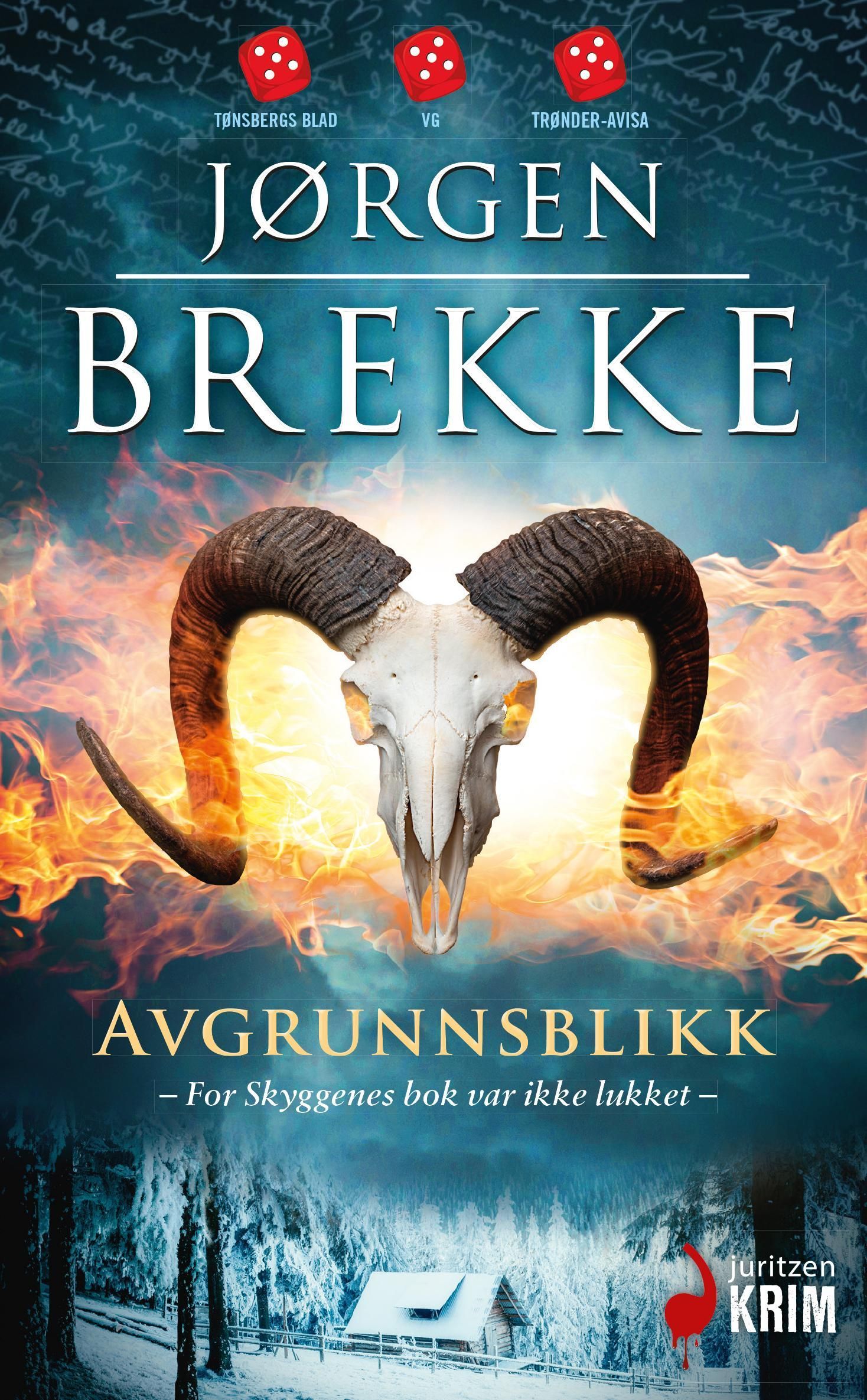 Avgrunnsblikk : kriminalroman
