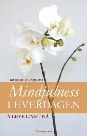 Mindfulness i hverdagen : å leve livet nå