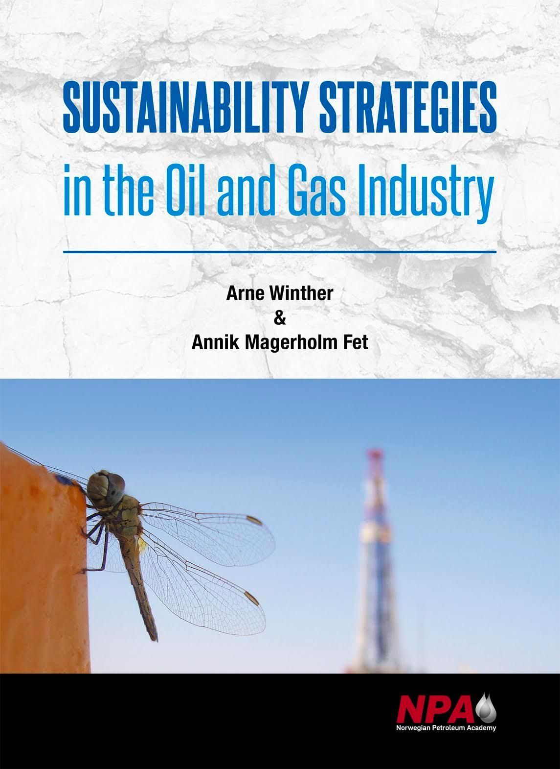 Forsidebilde av Sustainability strategies in the oil and gas industry