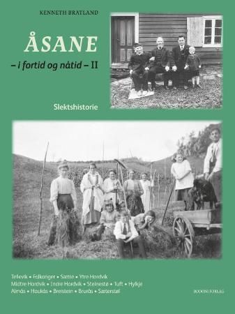 Åsane : i fortid og nåtid : II : slektshistorie