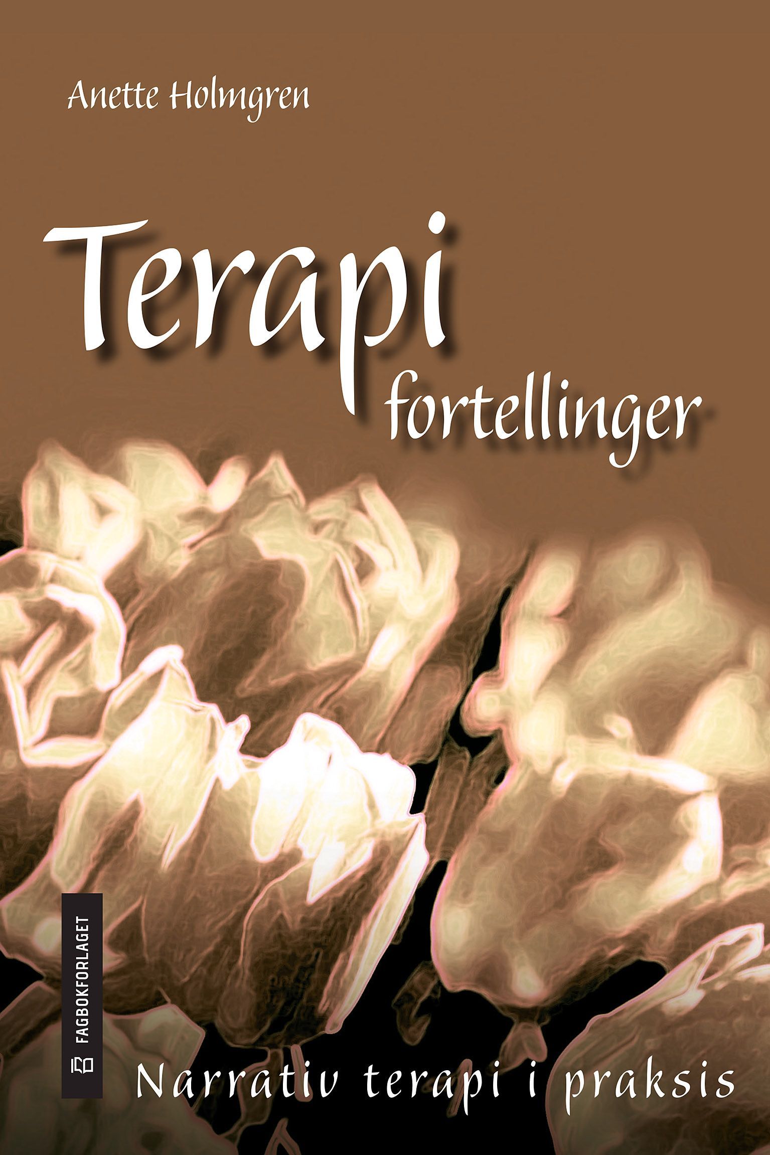 Terapifortellinger : narrativ terapi i praksis