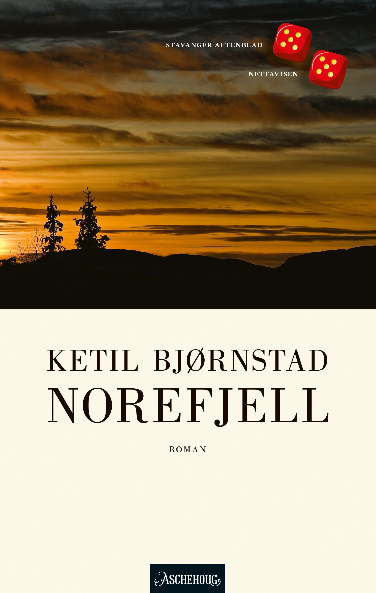 Forsidebilde av Norefjell