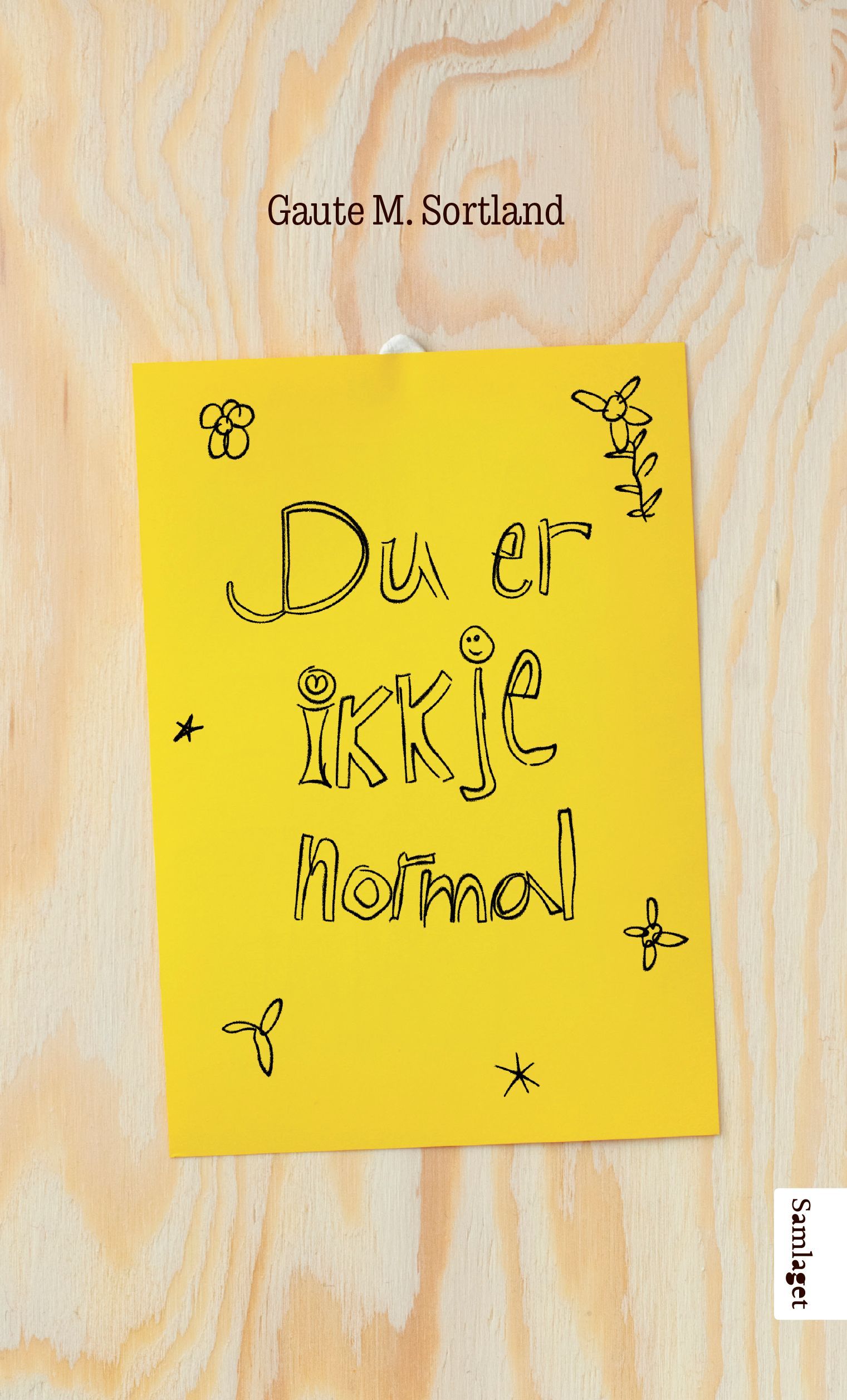 Du er ikkje normal : noveller