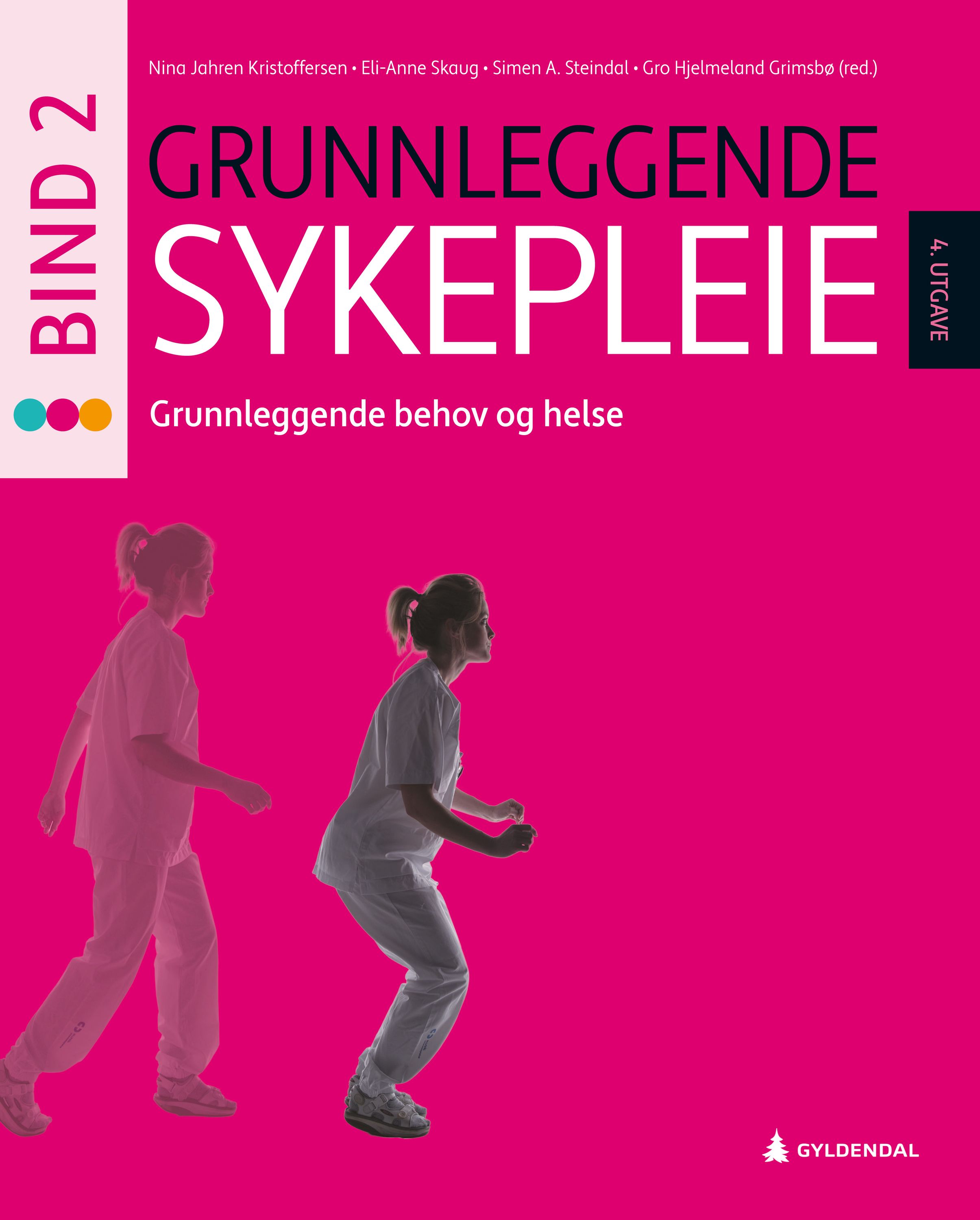 Grunnleggende sykepleie 2 : grunnleggende behov og helse