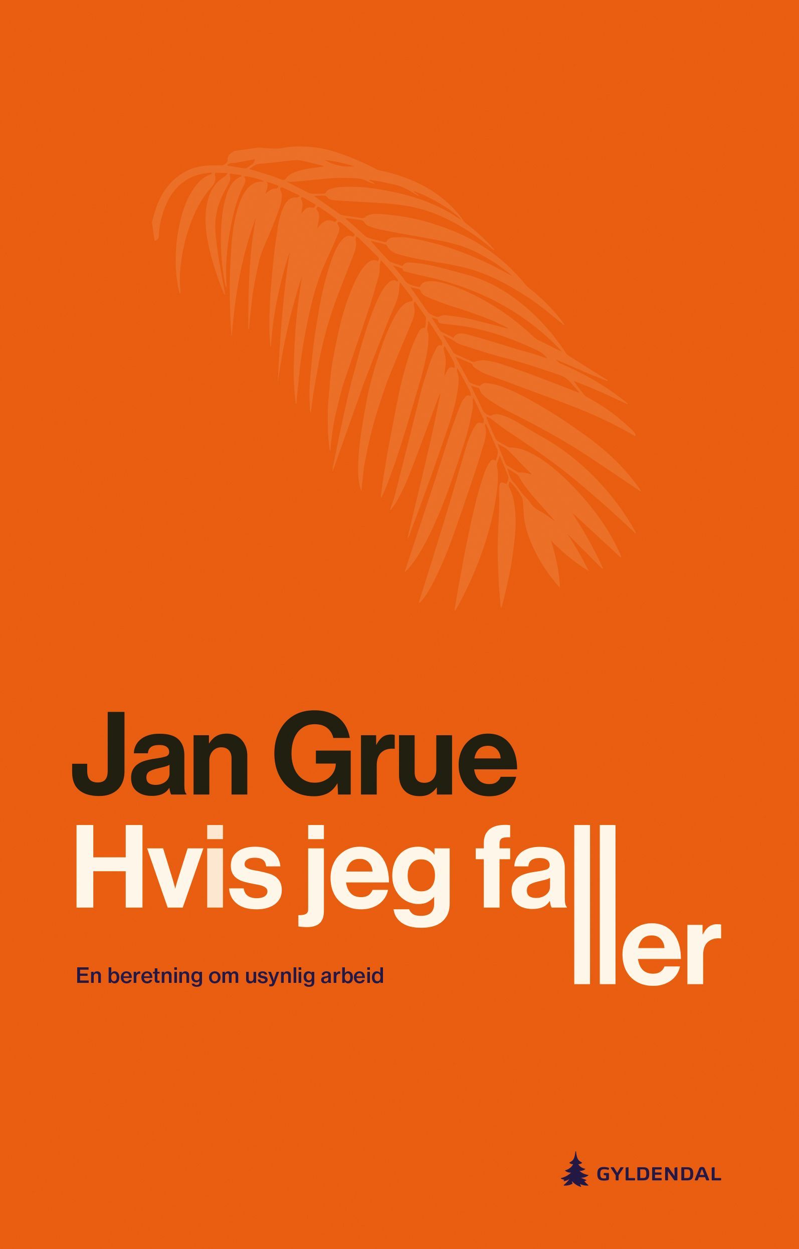 Hvis jeg faller : en beretning om usynlig arbeid