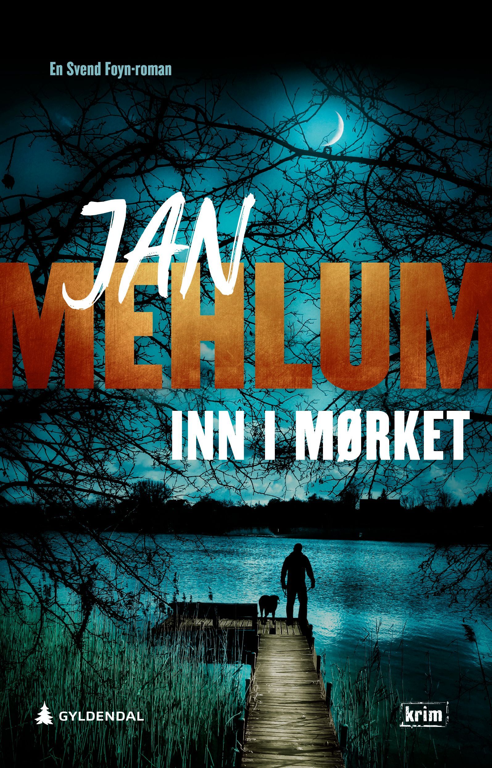Inn i mørket : kriminalroman