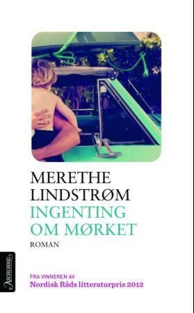 Ingenting om mørket : roman
