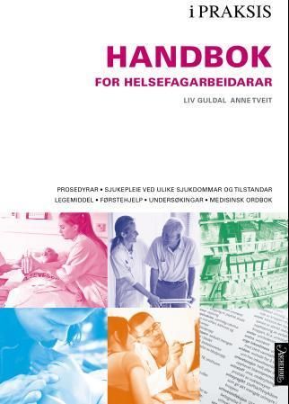 Handbok for helsefagarbeidarar : i praksis