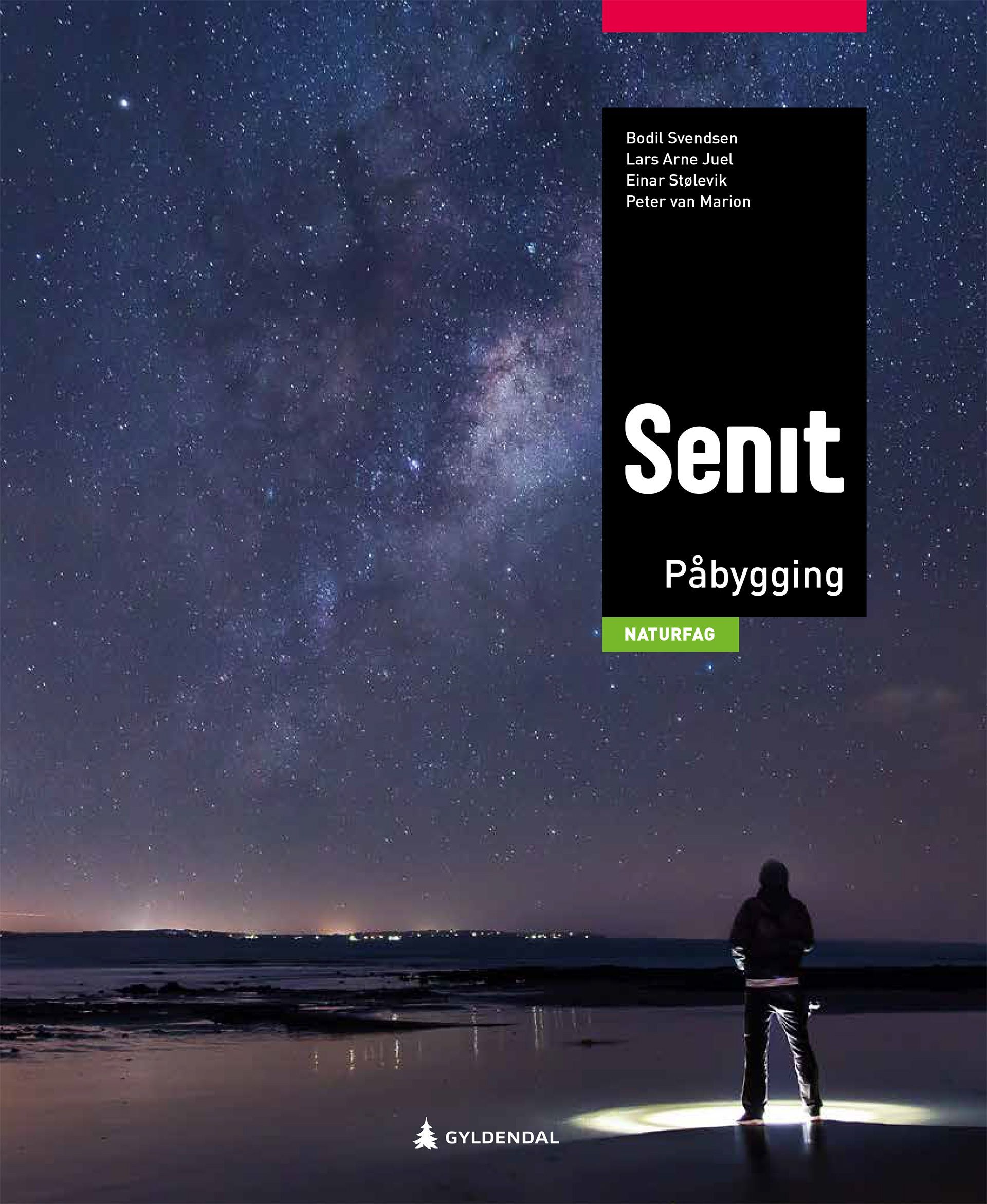 Senit påbygging, 2. utg. : naturfag vg3, påbygging til generell studiekompetanse