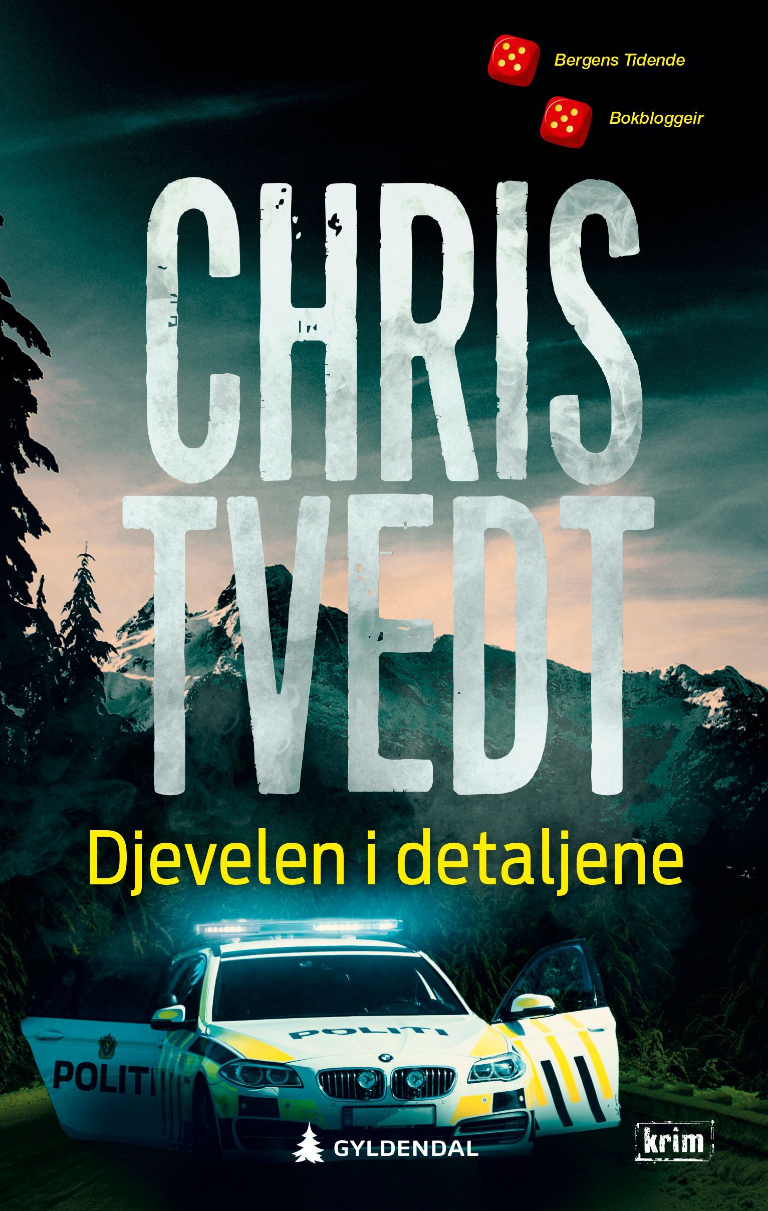Djevelen i detaljene : kriminalroman