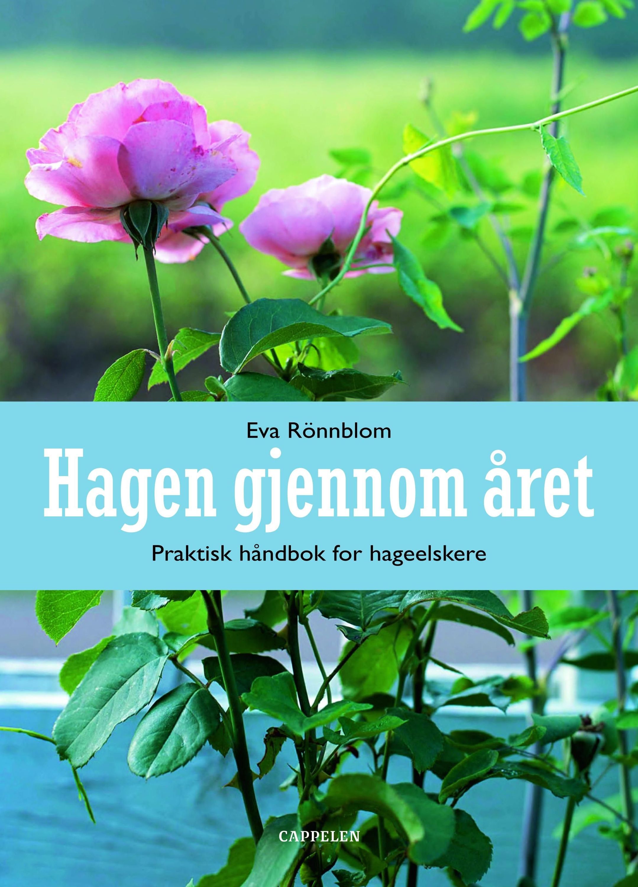 Forsidebilde av Hagen gjennom året : vår, sommer, høst, vinter : praktisk håndbok for hageelskere