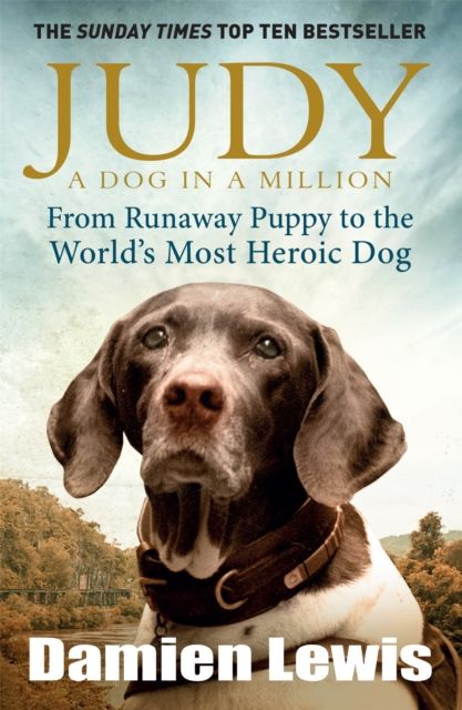 Judy: A Dog in a Million : From Runaway Puppy to the World's Most Heroic Dog