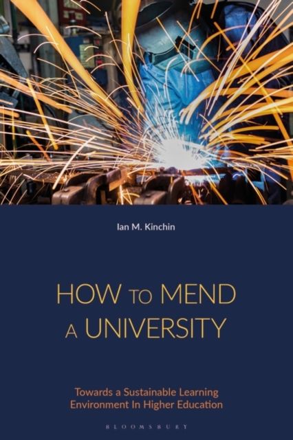How to Mend a University : Towards a Sustainable Learning Environment In Higher Education