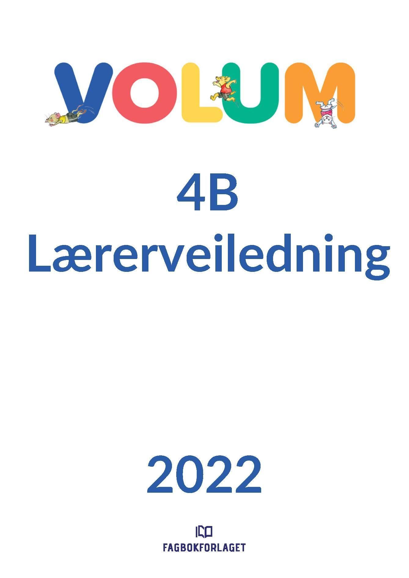Volum 4B : matematikk for barnetrinnet. Lærerveiledning