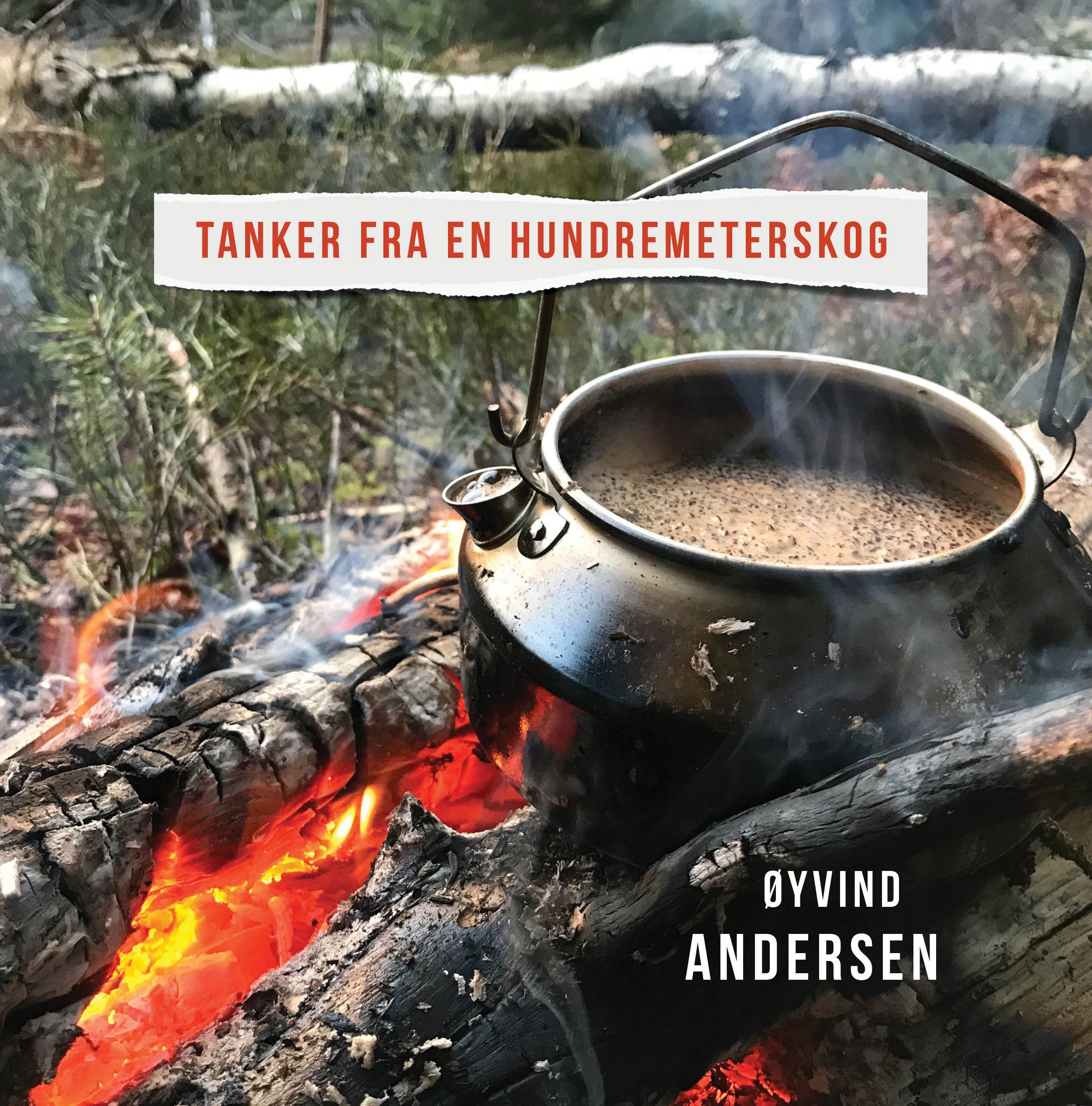 Forsidebilde av Tanker fra en hundremeterskog