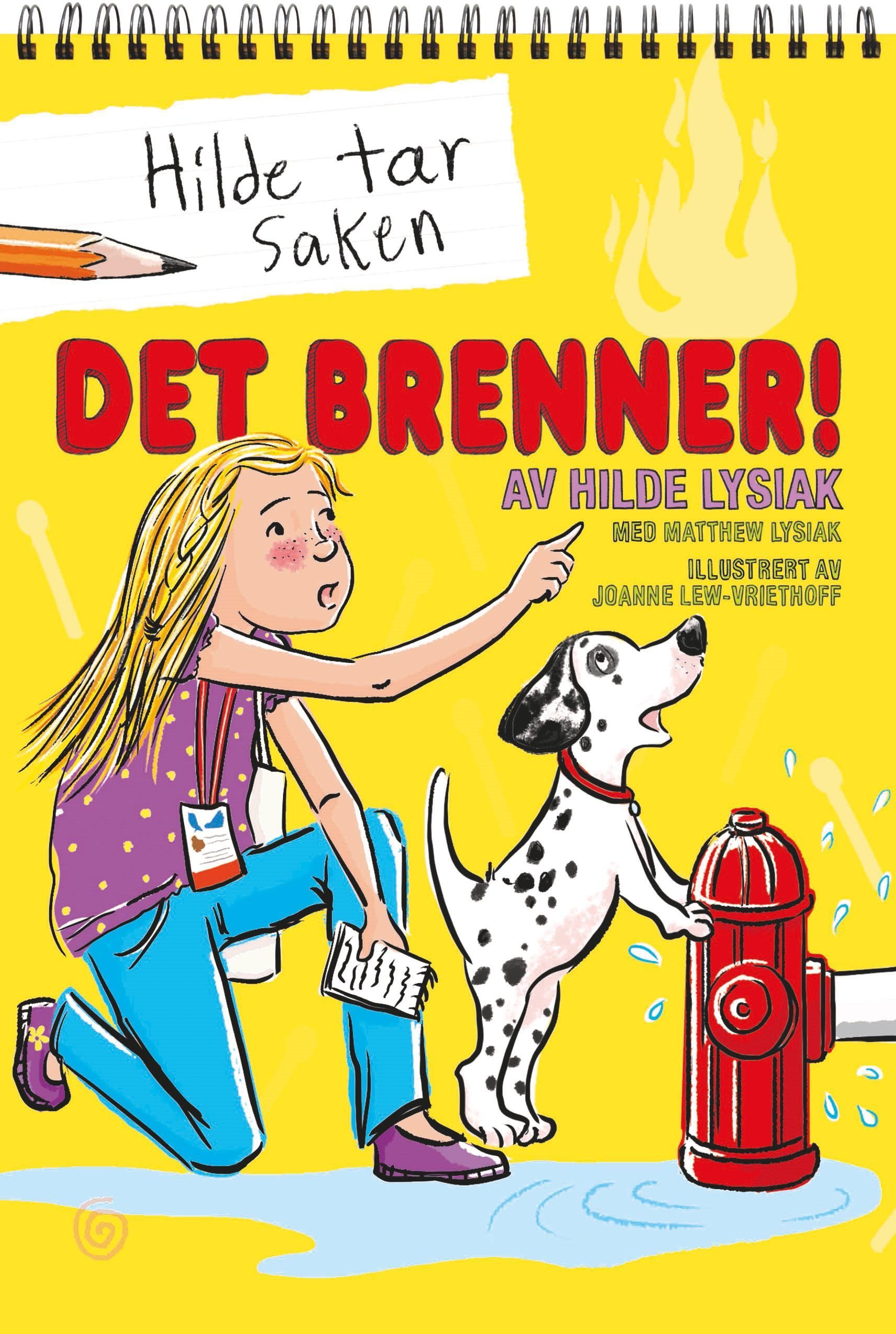 Forsidebilde av Det brenner!
