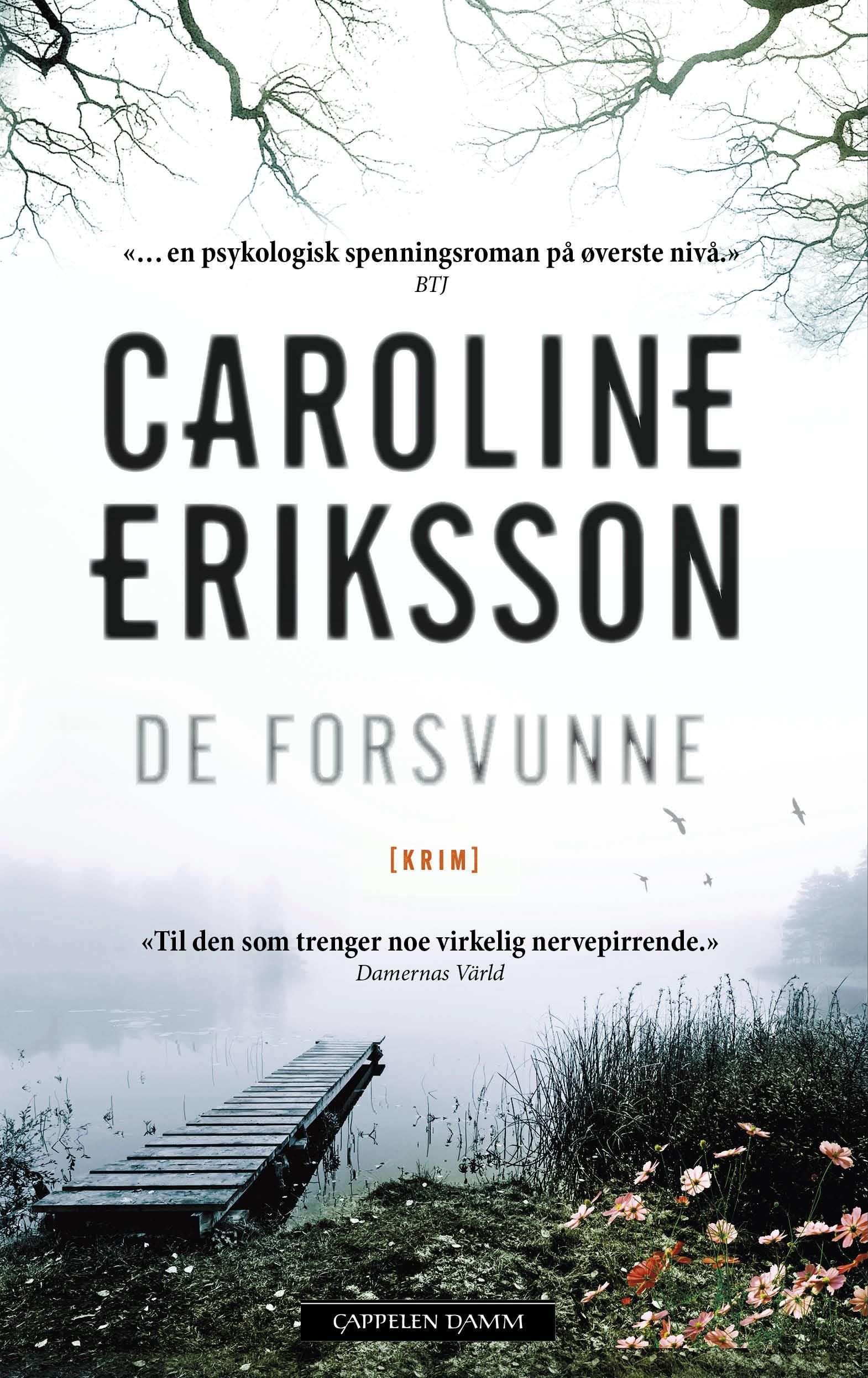 De forsvunne