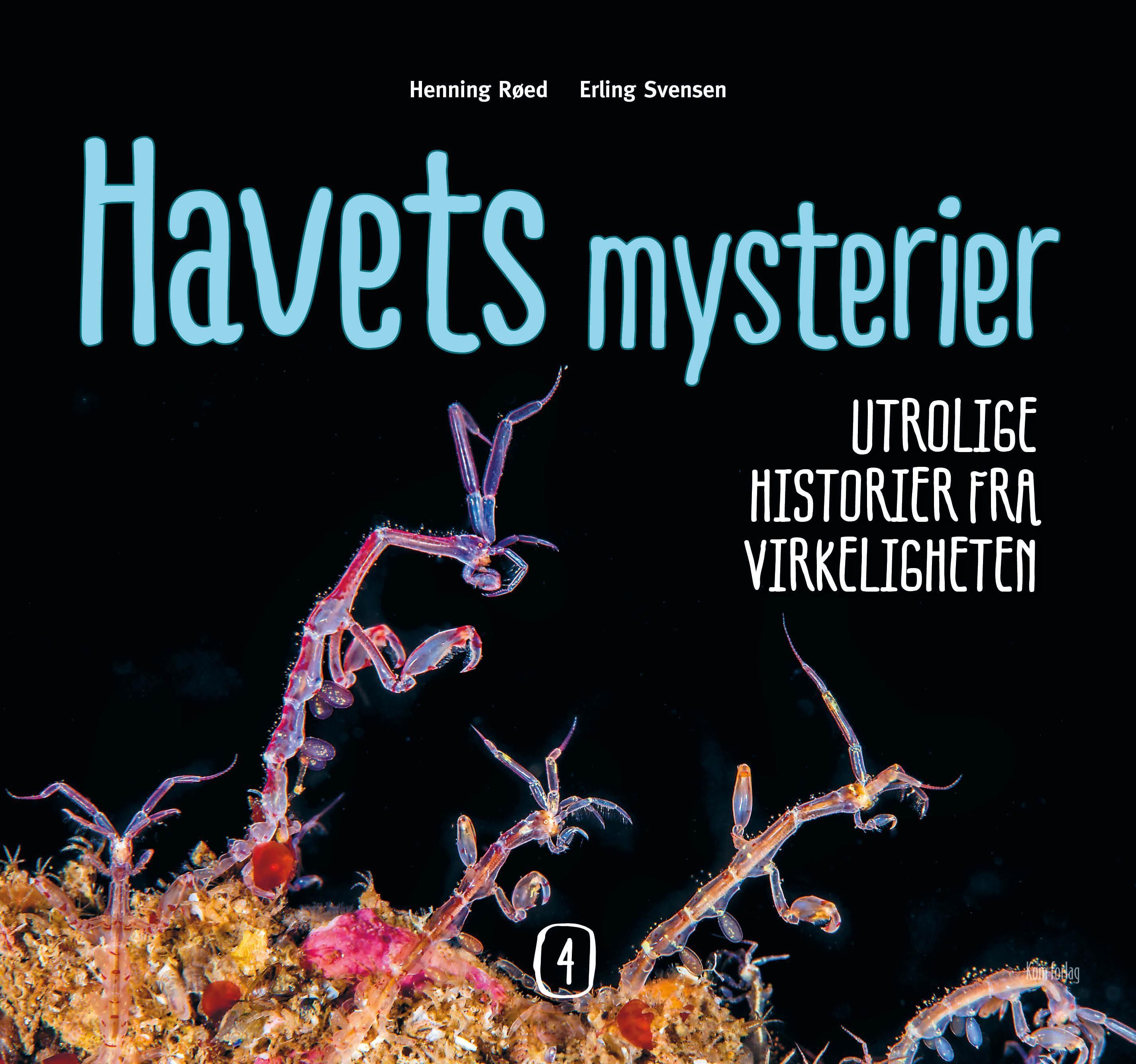 Havets mysterier : utrolige historier fra virkeligheten. 4