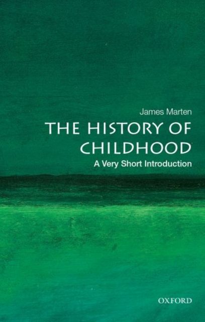 The history of childhood : a very short introduction