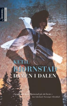 Damen i dalen : roman