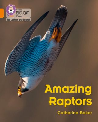 Amazing Raptors : Band 06/Orange