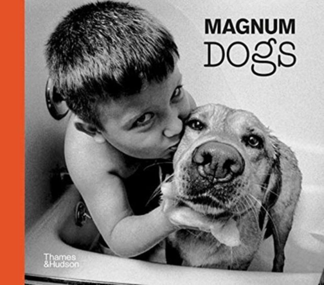 Forsidebilde av Magnum Dogs