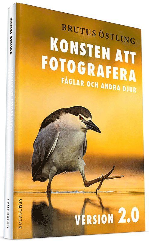 Konsten att fotografera fåglar och andra djur
