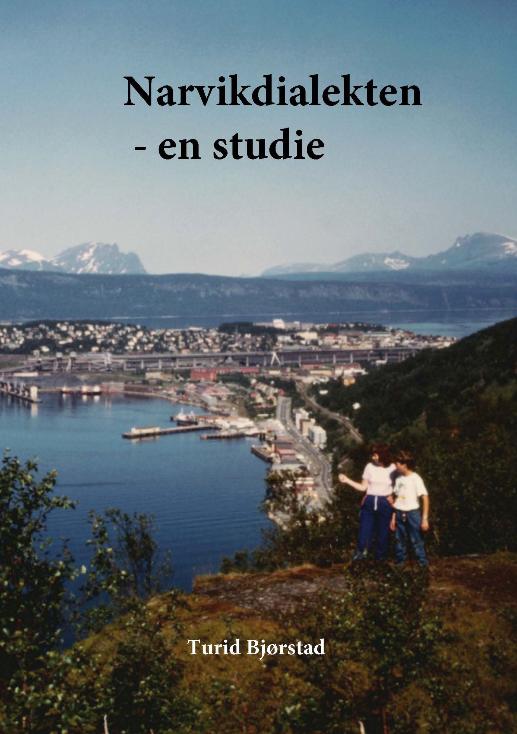 Narvikdialekten : en studie