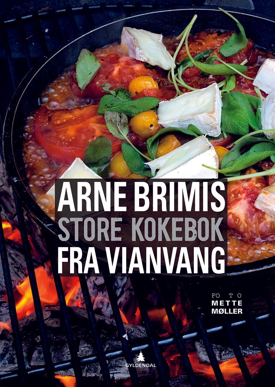 Arne Brimis store kokebok fra Vianvang : gastronomi ved foten av Jotunheimen