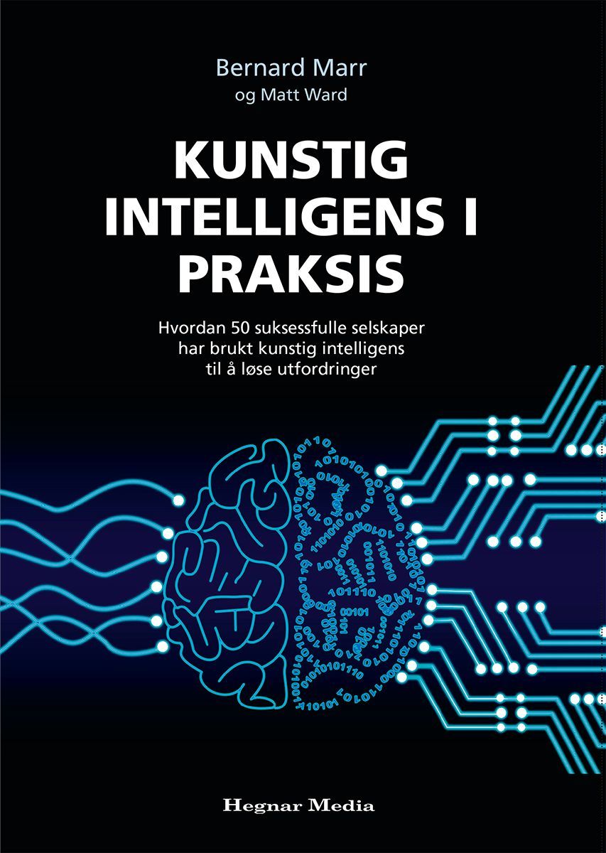 Kunstig intelligens i praksis : hvordan 50 suksessfulle selskaper har brukt kunstig intelligens til å løse utfordringer