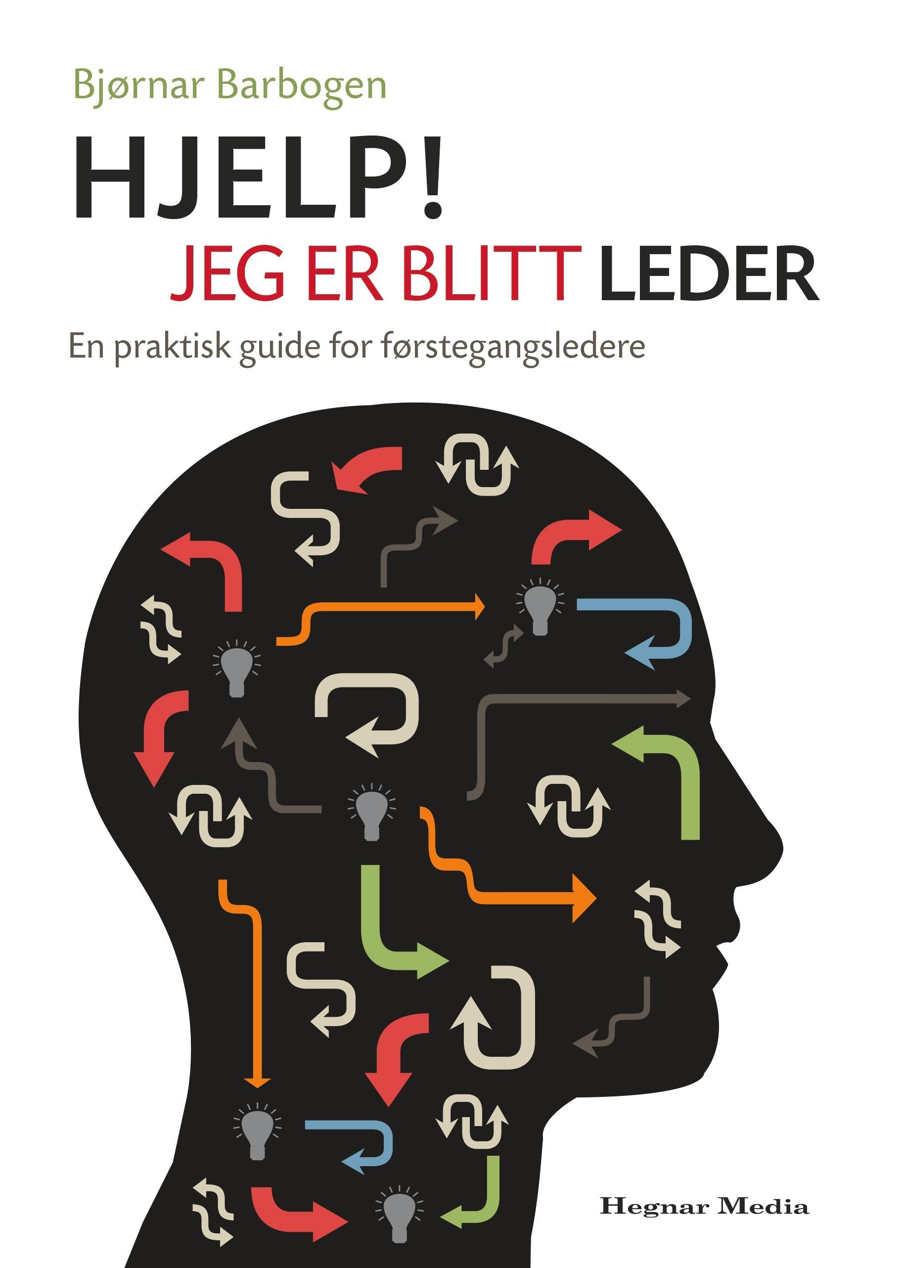 Hjelp! Jeg er blitt leder : en praktisk guide for førstegangsledere