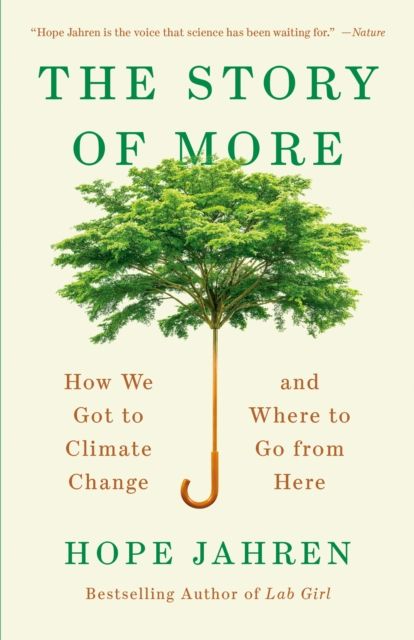 Forsidebilde av The story of more : how we got to climate change and where to go from here
