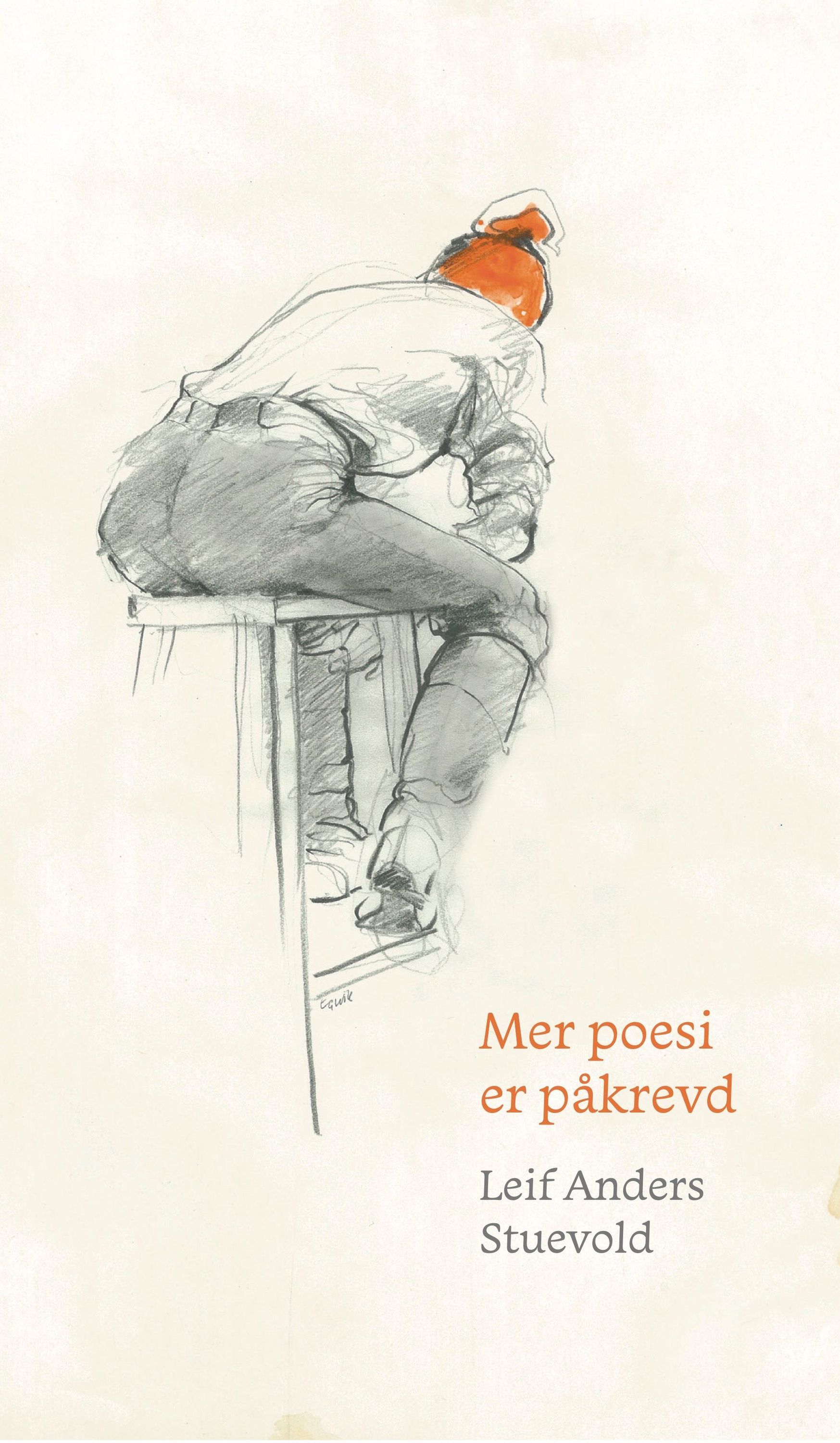 Mer poesi er påkrevd : fortellinger og vers