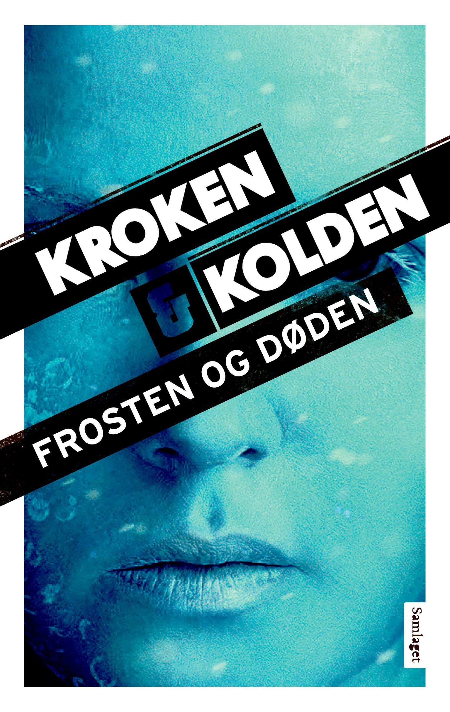 Frosten og døden : kriminalroman