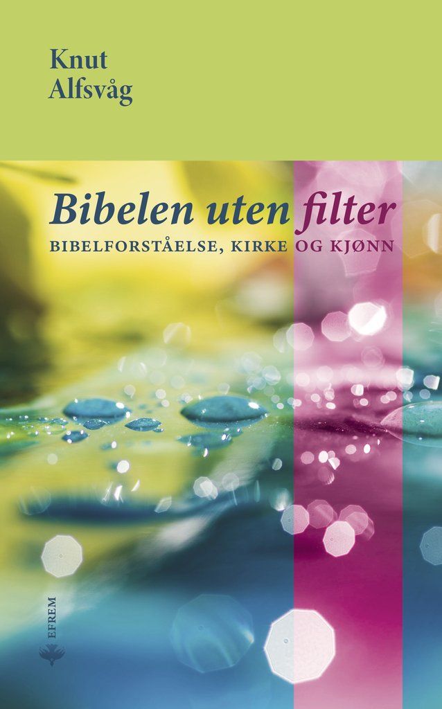 Bibelen uten filter : bibelforståelse, kirke og kjønn