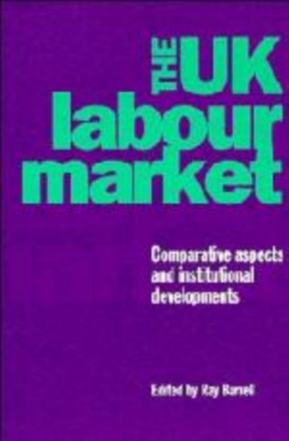 The UK Labour Market : Comparative Aspects and Institutional Developments