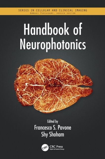 Handbook of Neurophotonics