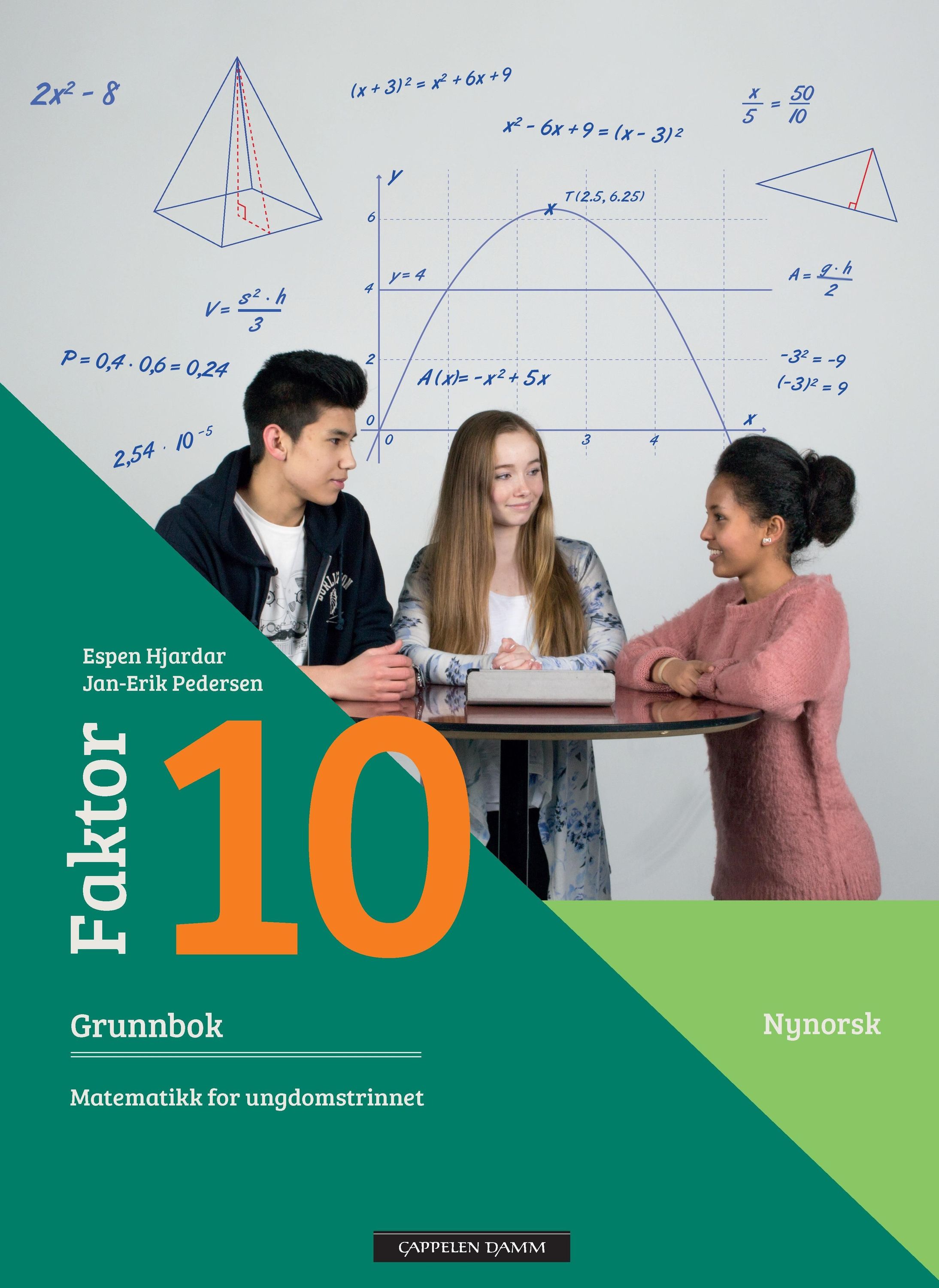 Faktor 10 : matematikk for ungdomstrinnet. Grunnbok