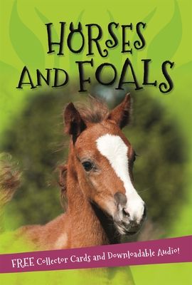 Horses and foals