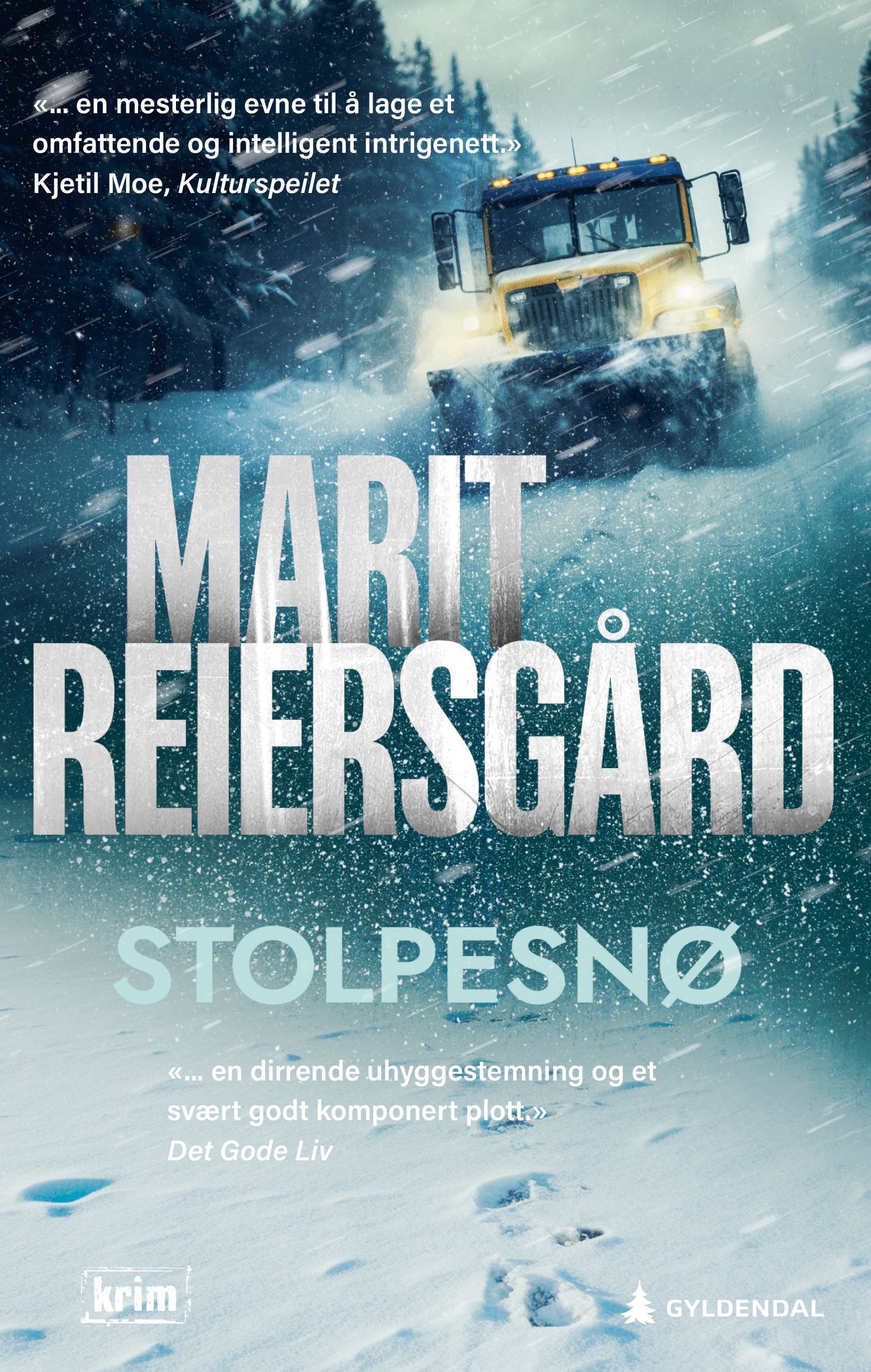Stolpesnø : kriminalroman