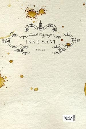 Ikke sant : roman