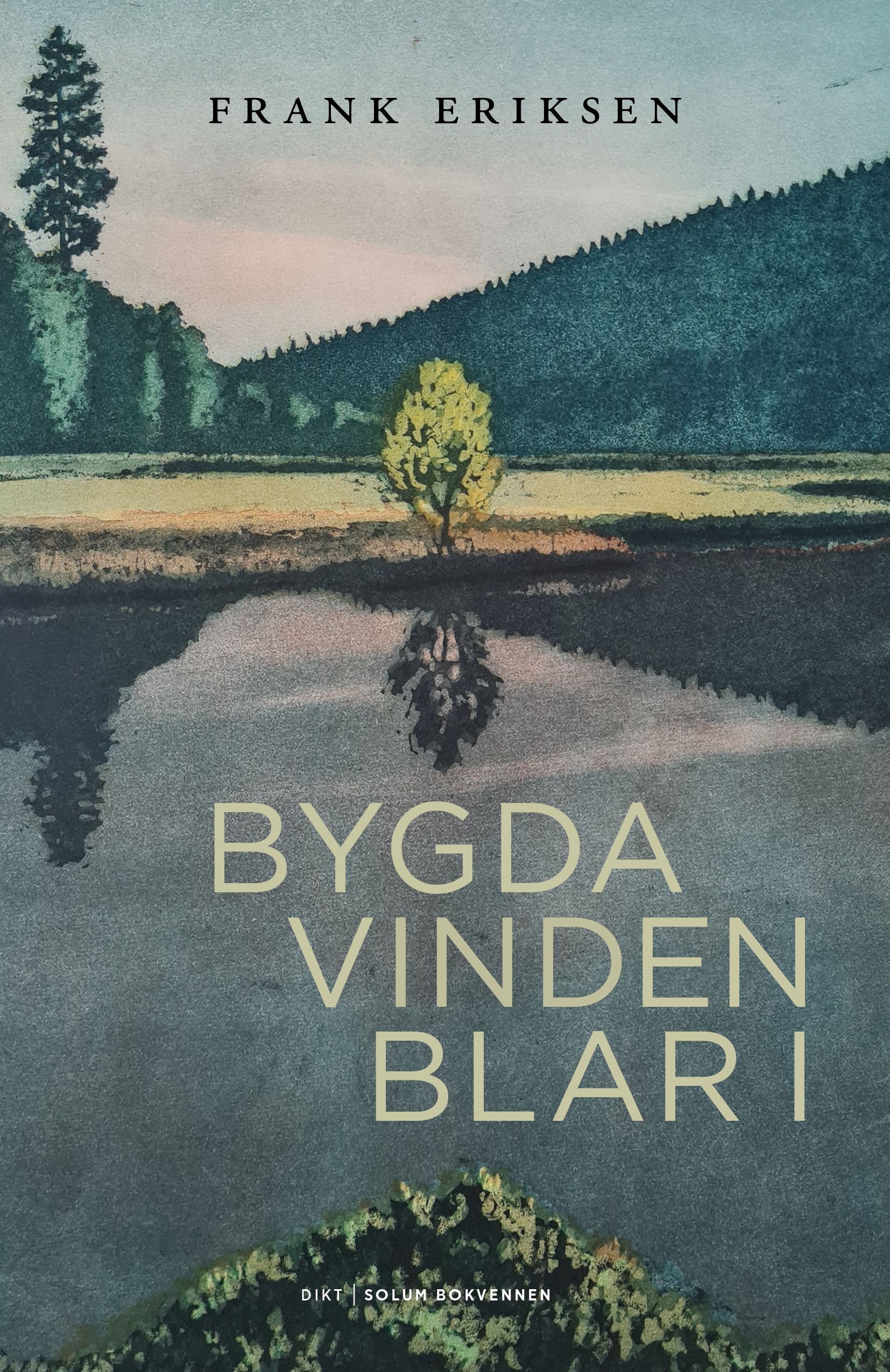 Omslagsbilde