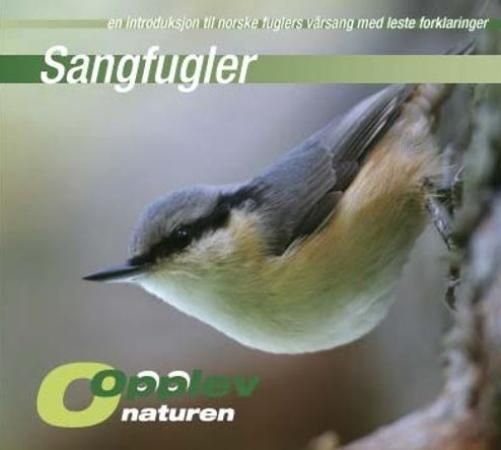 Forsidebilde av Sangfugler : en introduksjon til norske fuglers vårsang med leste forklaringer