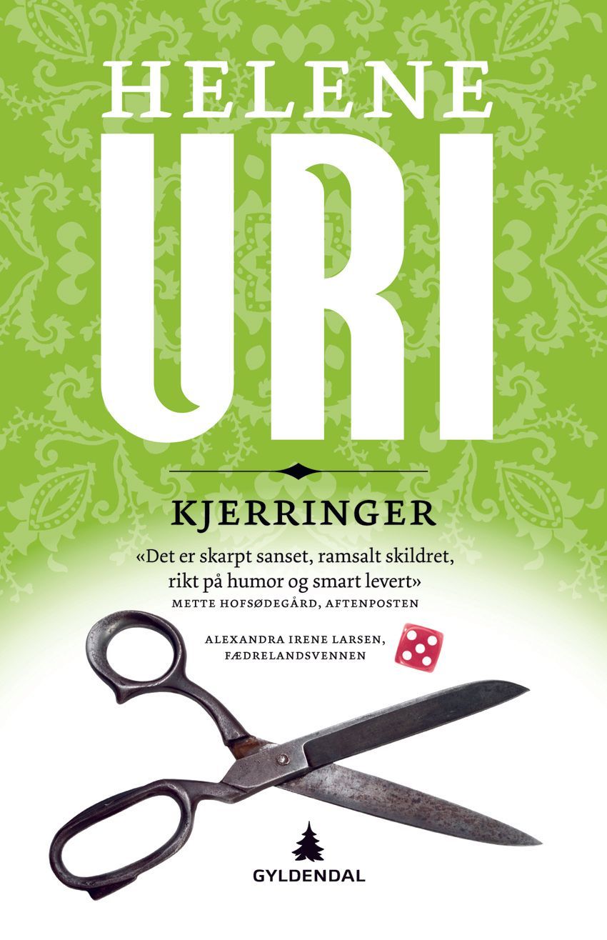 Kjerringer : roman
